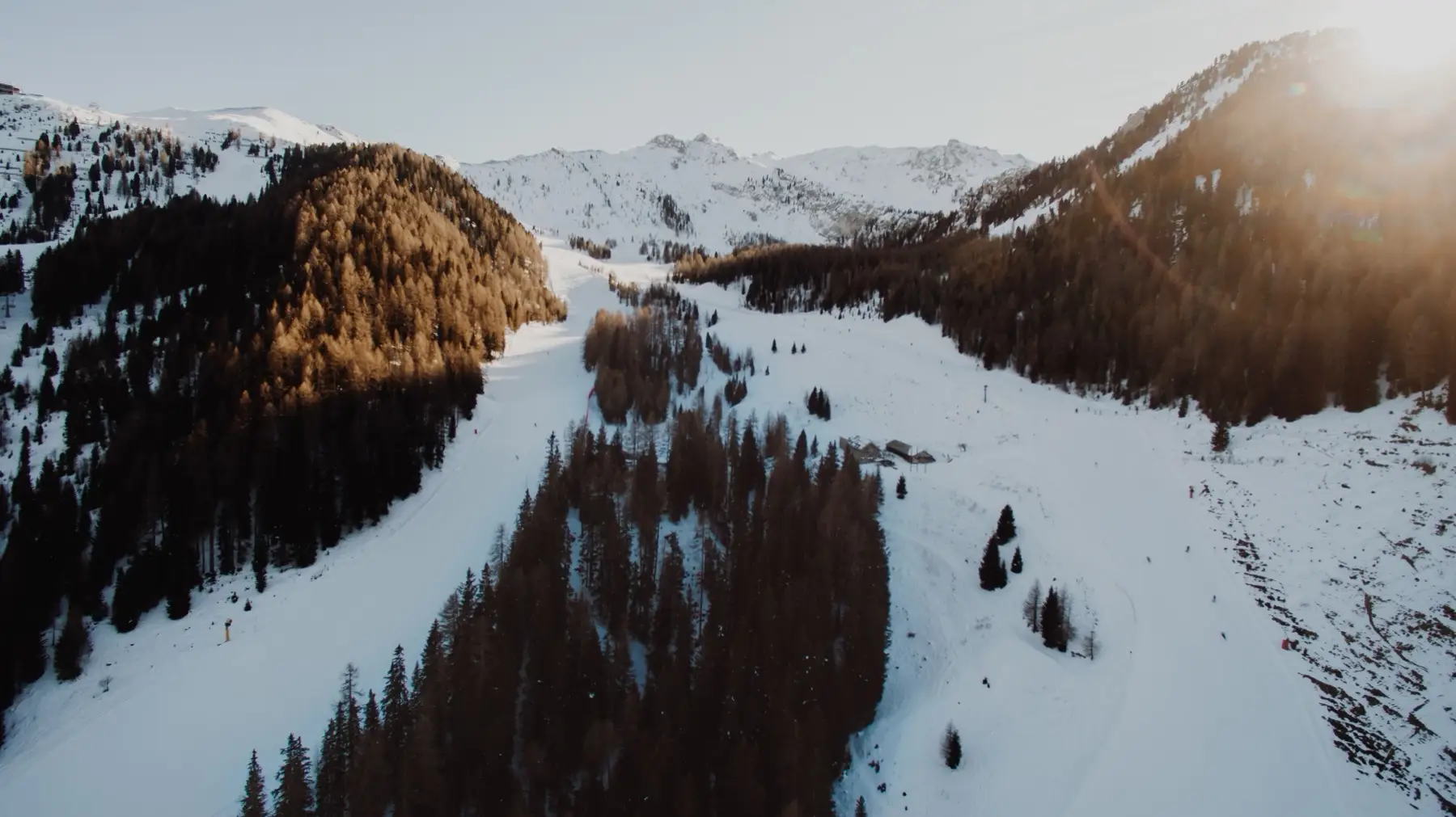 Groomed ski runs cutting through larch forest